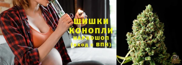 молекула духа Алзамай